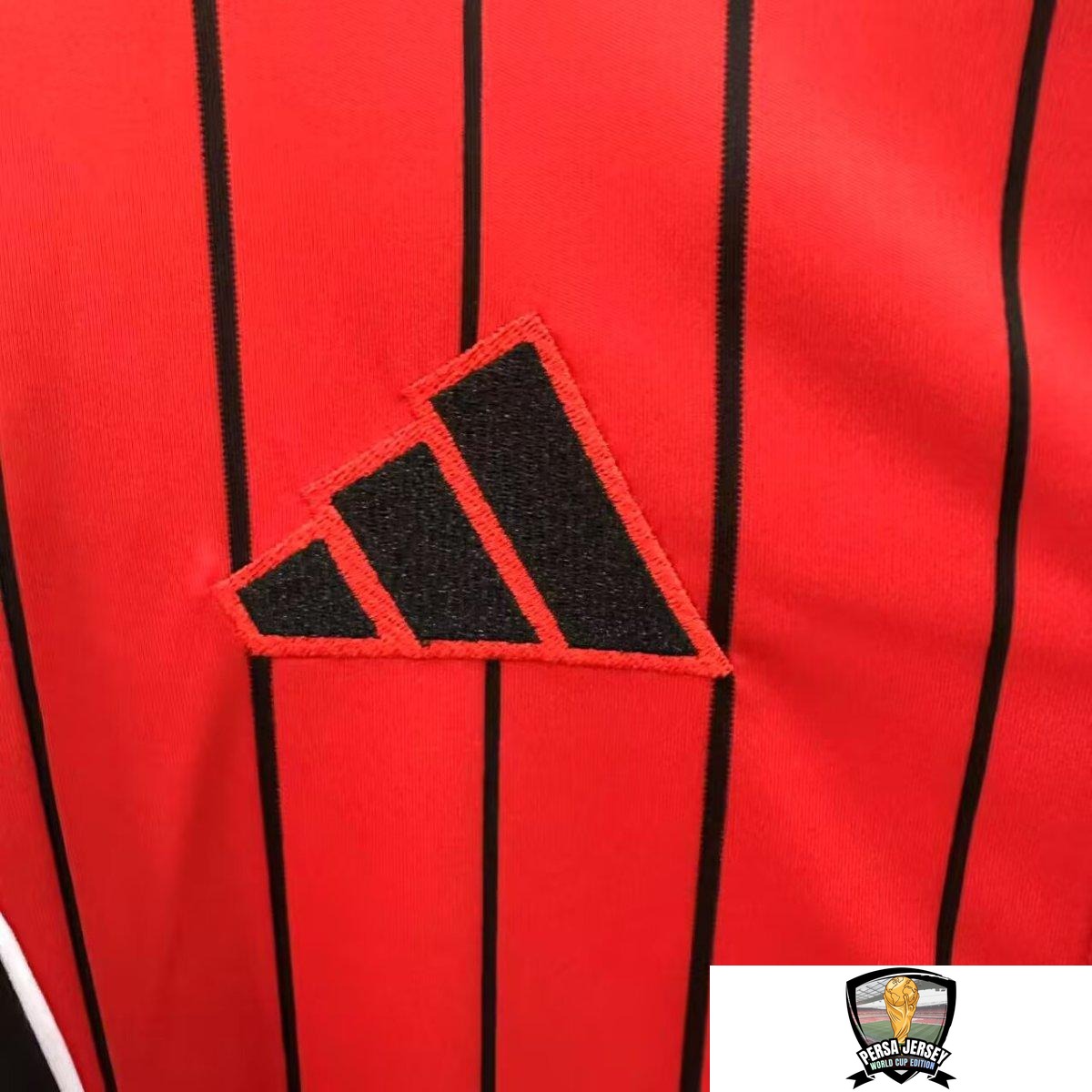 ea46a7ee96570884a3c14b9c.jpg